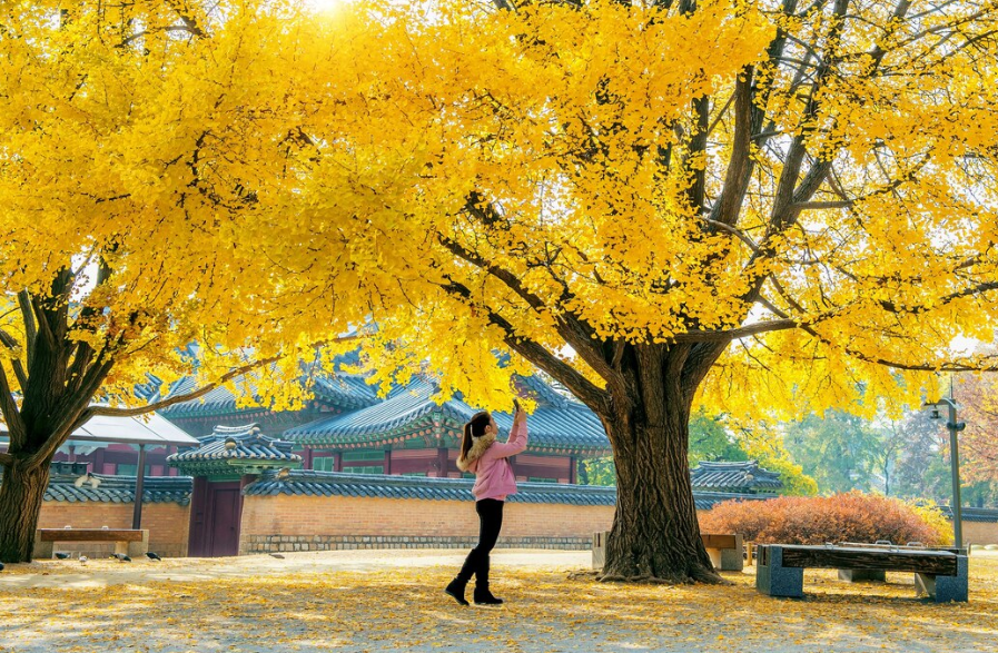 강원도 단풍 드라이브 코스 추천 - 6. 양양 오색주전골
