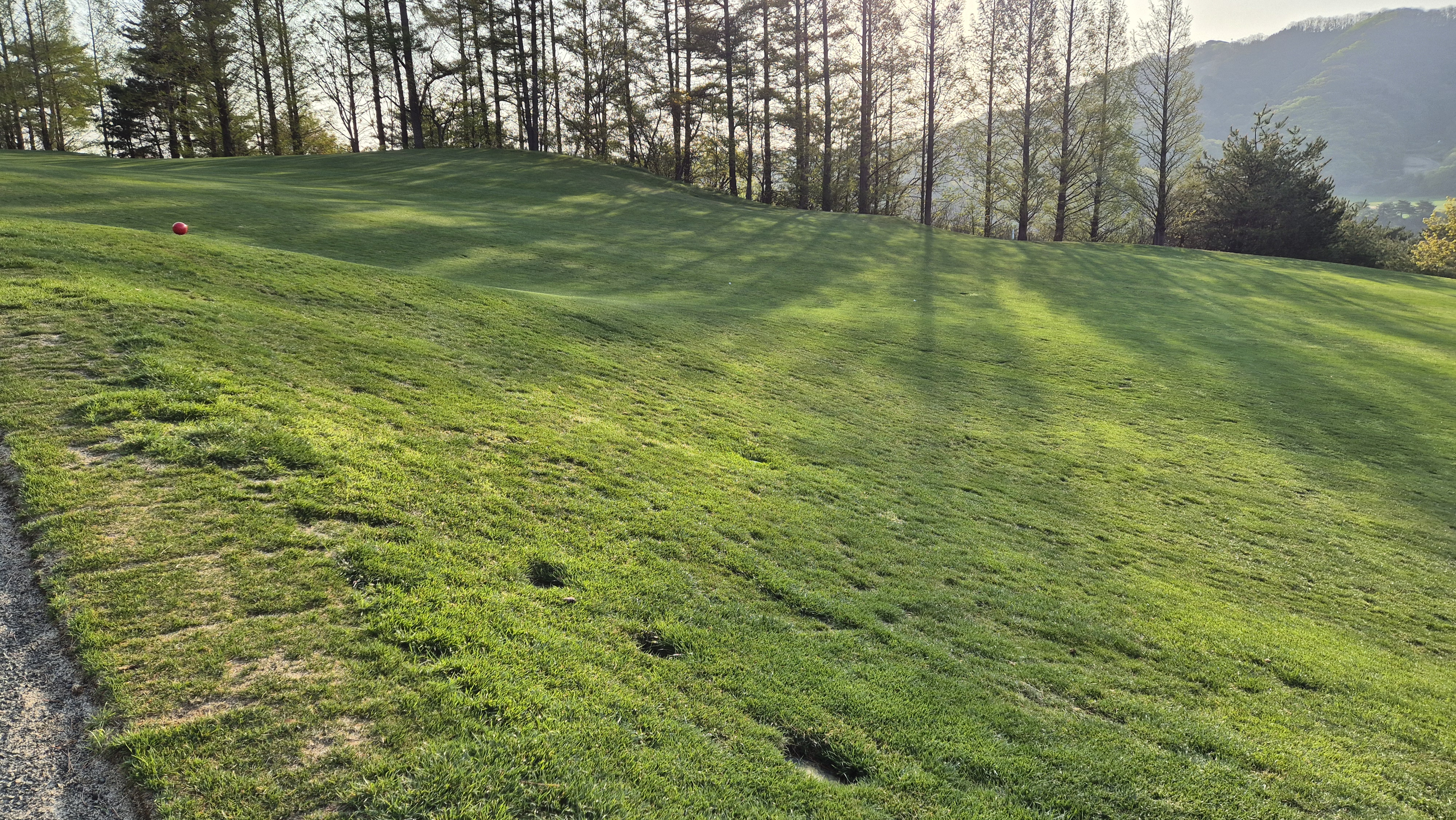 소노펠리체cc 비발디파크 웨스트