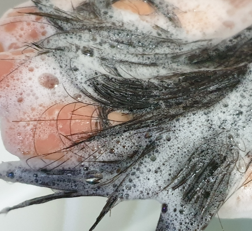 약산성-ph-5.5-샴푸-추천제품