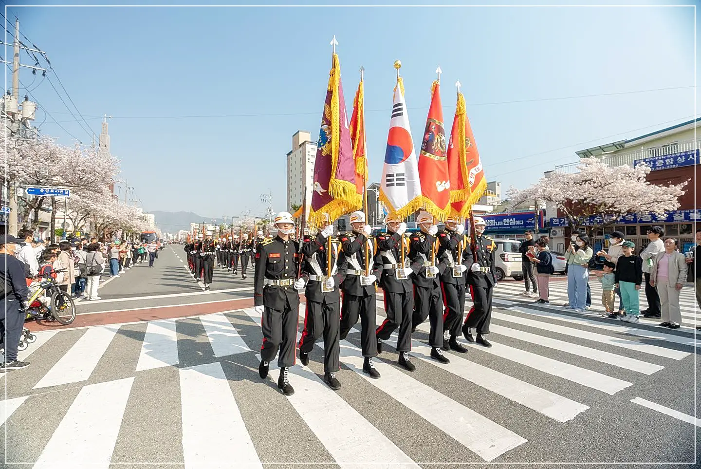 진해군항제