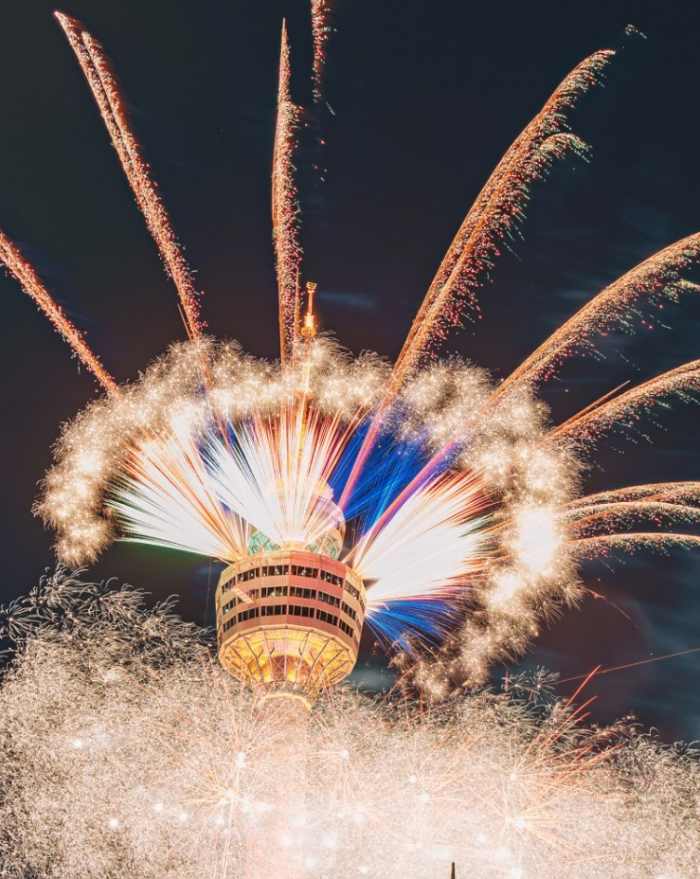 이월드 튤립트래블