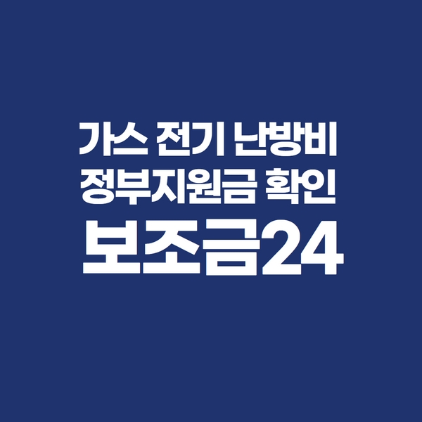 정부지원금