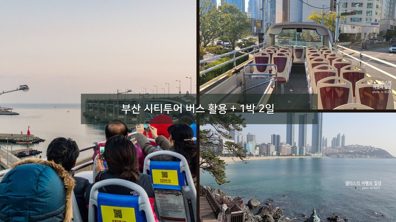 부산 1박2일 여행 추천 코스 + 부산 시티투어 버스 활용하기