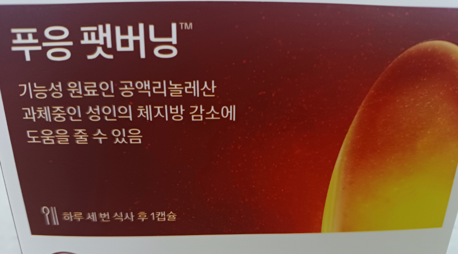 푸응 팻버닝 다이어트 후기