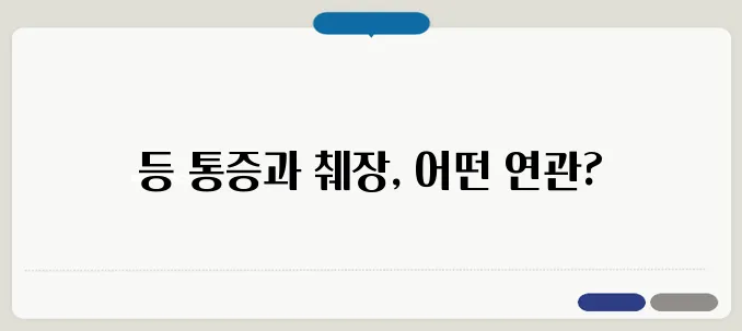 등 가운데 통증, 췌장 건강과의 관계