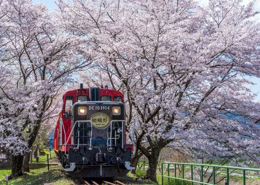 사가노 토롯코 열차 티켓