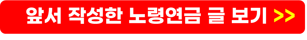 기초연금 노령연금