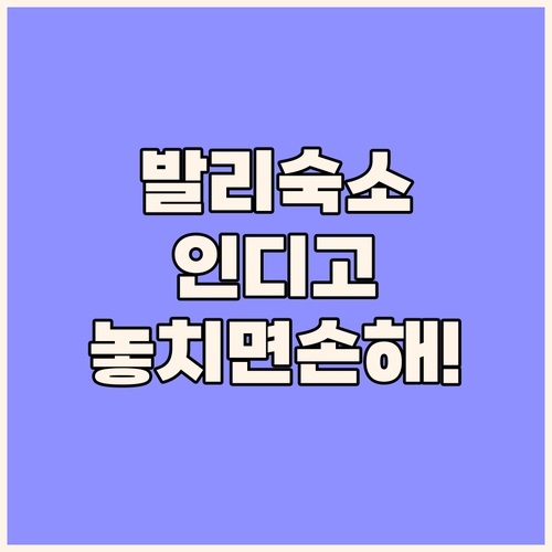 발리 숙소 추천 호텔 인디고 스미냑 ..