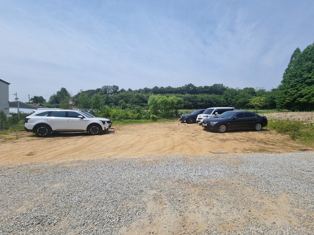 인천 강화도 메타포레스트: 수도권 메타세콰이어 숲 속, 호수, 정원 카페 주차, 화장실