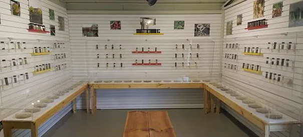 한국토종씨앗박물관