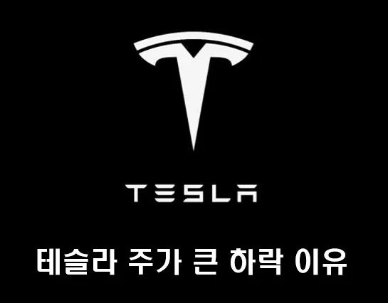 테슬라 주가 이미지