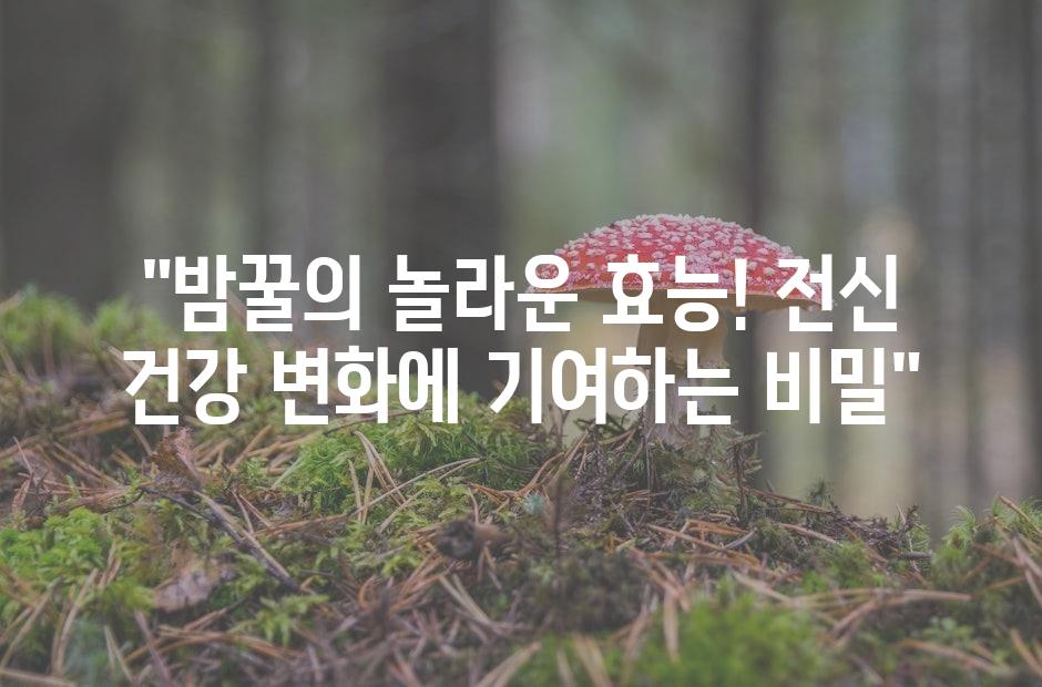 샘플 (42)