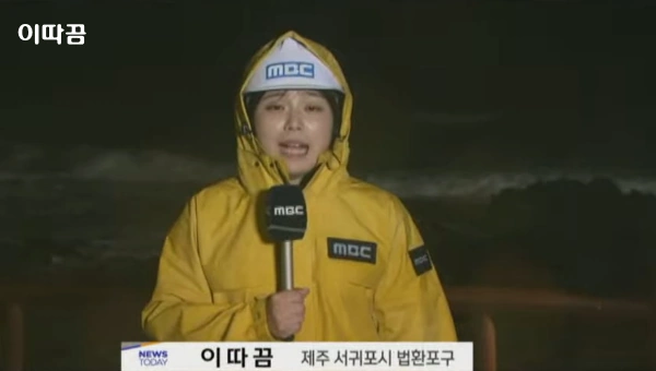 이따끔 기자