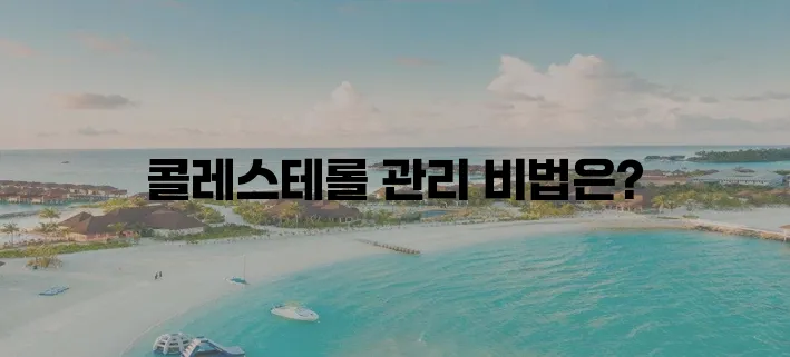 콜레스테롤을 낮추는 효과적인 방법과 식습관, 체중 관리의 중요성!