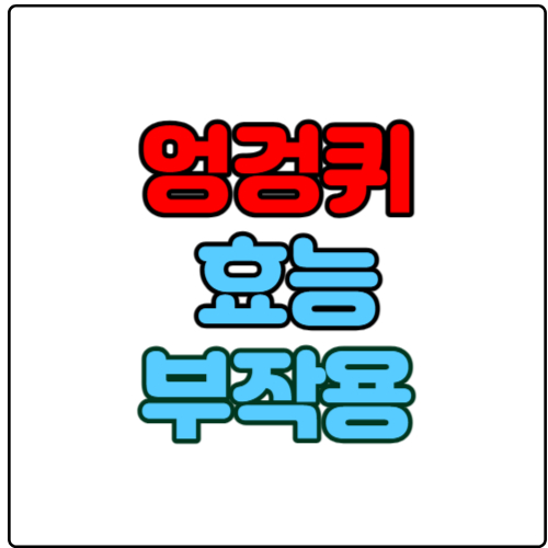 엉겅퀴-효능-및-부작용