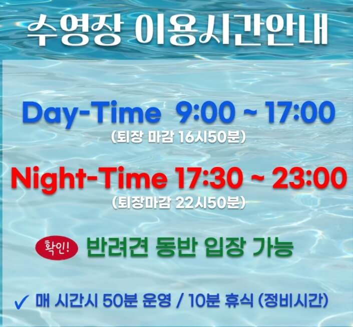 서울근교 여름 수영장 인기 명소