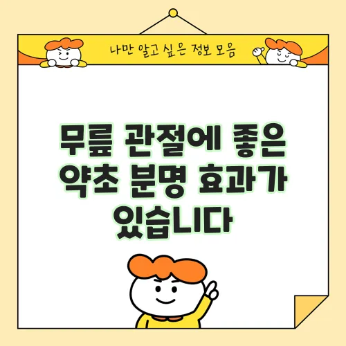 무릎 관절에 좋은 약초 분명 효과가 있습니다