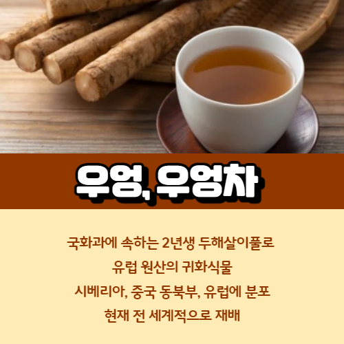 우엉