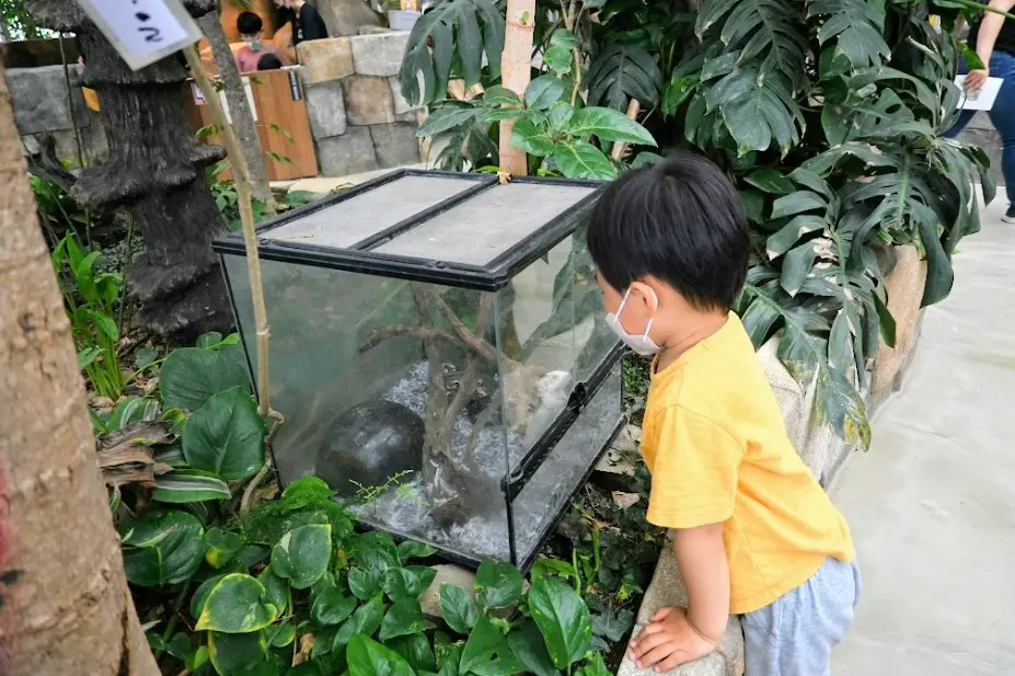 오산 버드파크 후기 사진15