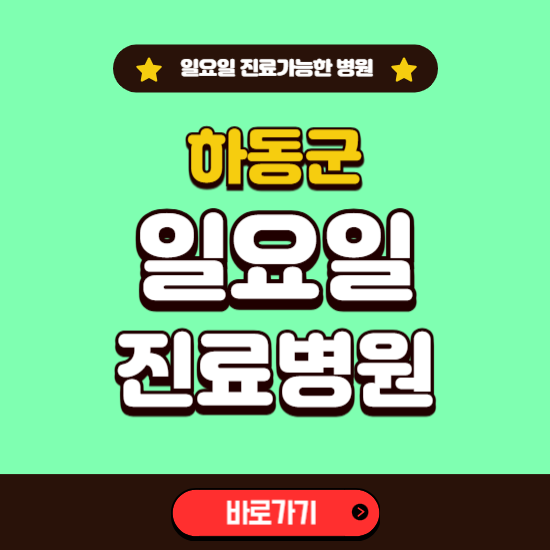 하동군 일요일 진료 가능한 병원 ❘ 주말 문여는 곳 총정리 (소아과, 내과, 안과, 치과, 피부과, 정형외과, 산부인과)