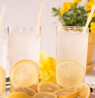 홀베리 유기농 레몬즙 가격 먹는법 후기