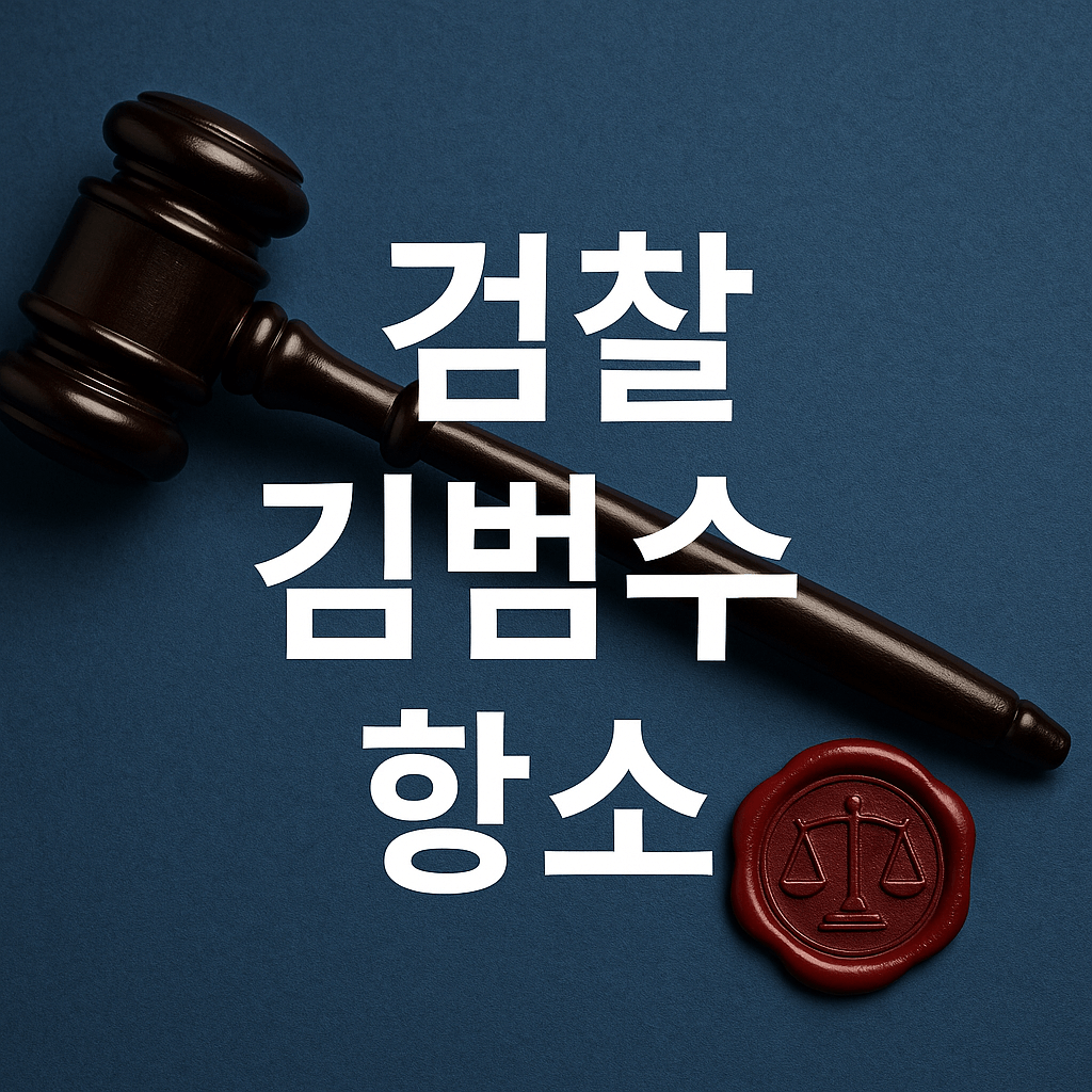 검찰 김범수 항소