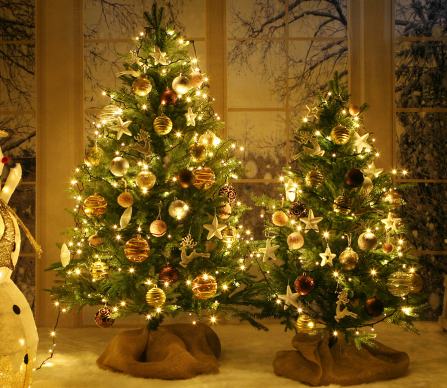 크리스마스 트리