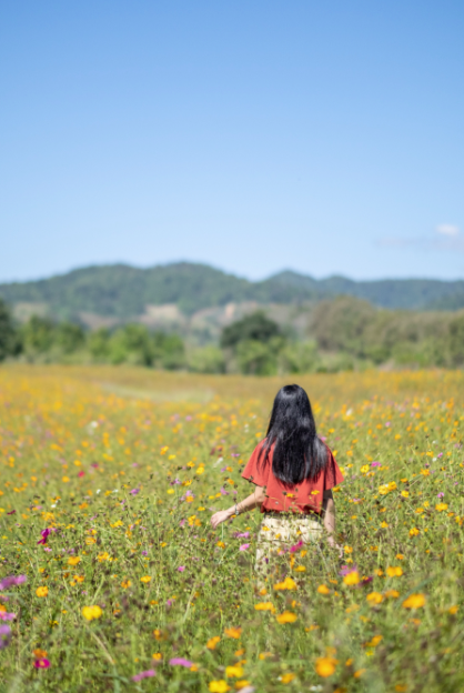 2024 양재 플라워 페스타 존별 안내