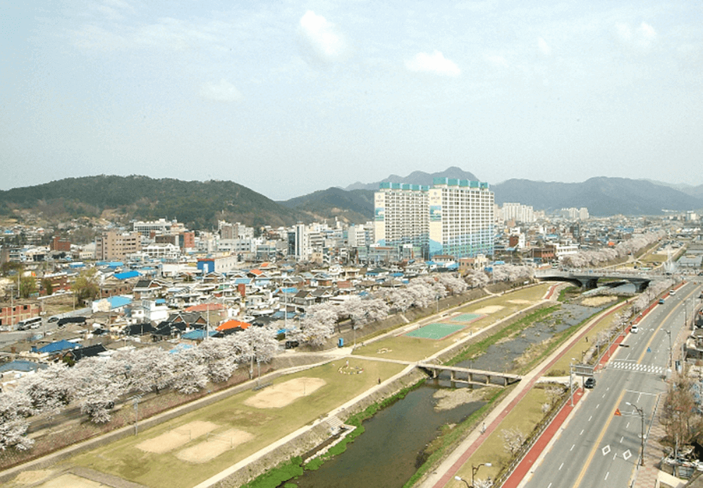 2025 정읍 벚꽃축제 총정리