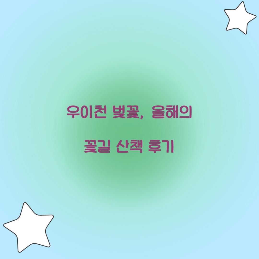 우이천 벚꽃