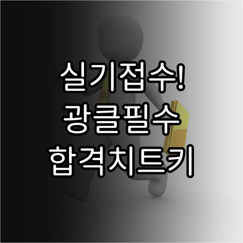 제1회 정보처리기사 실기 원서접수 성..