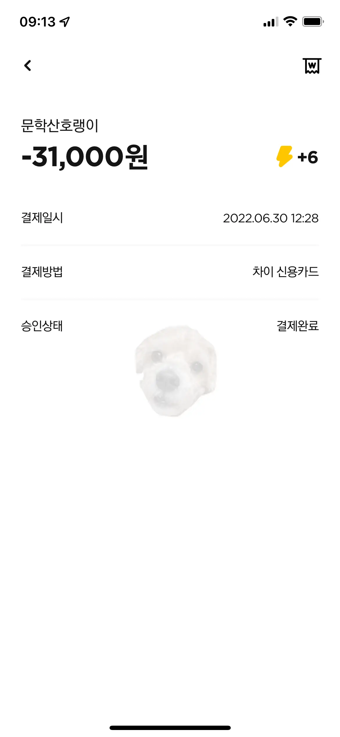 문학산호랭이 내돈내산 인증