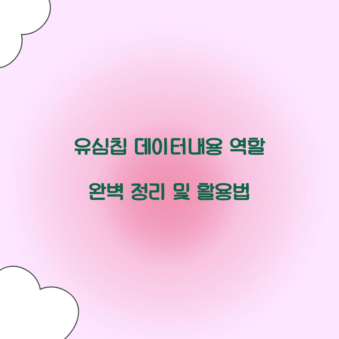 유심칩 데이터내용 역할