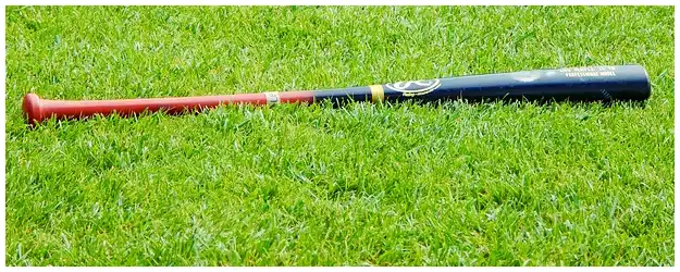 2024 WBSC 야구 프리미어 12 군면제 가능할까?