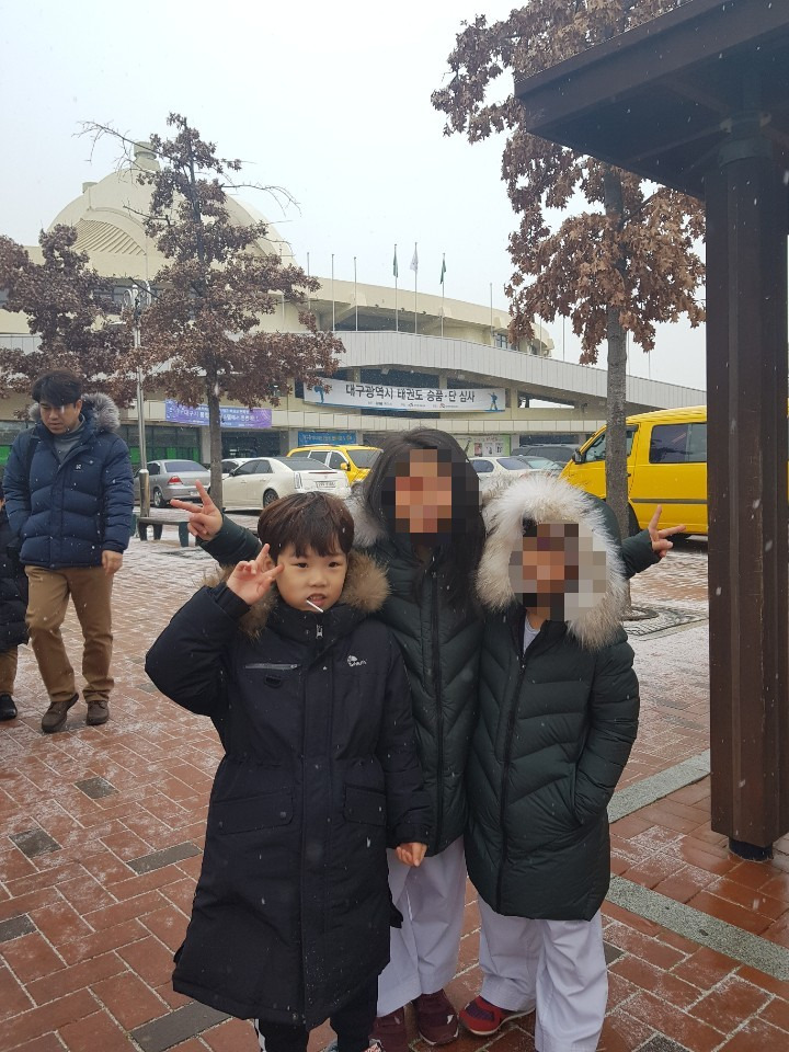 용인대석사태권도