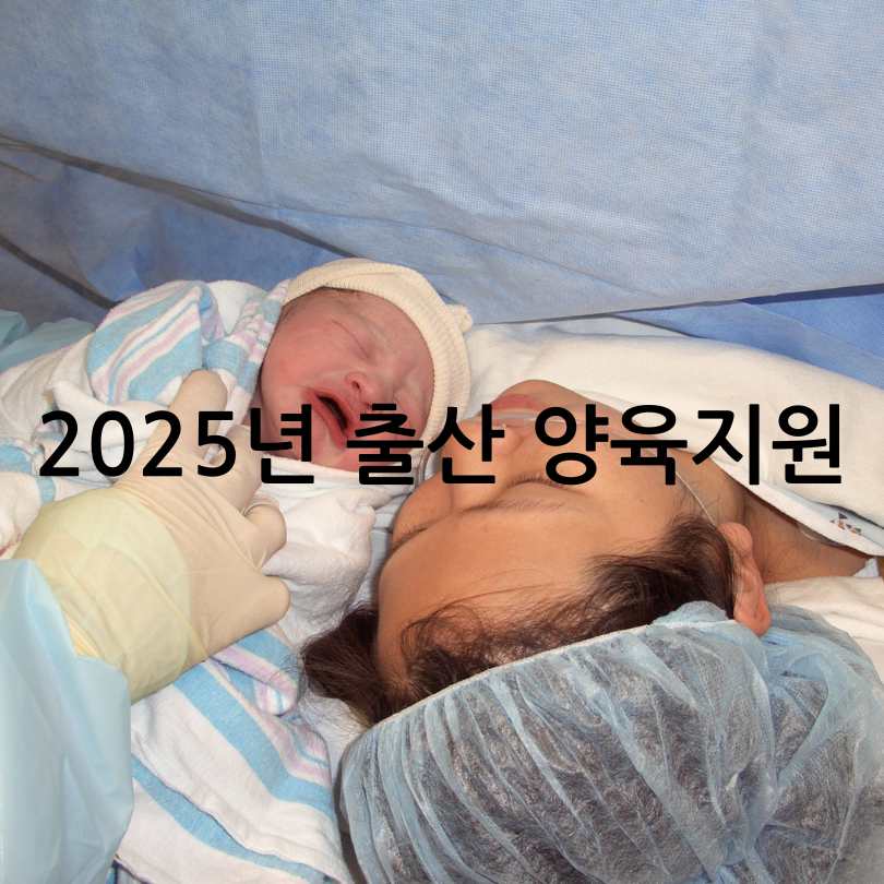 2025년출산양육지원