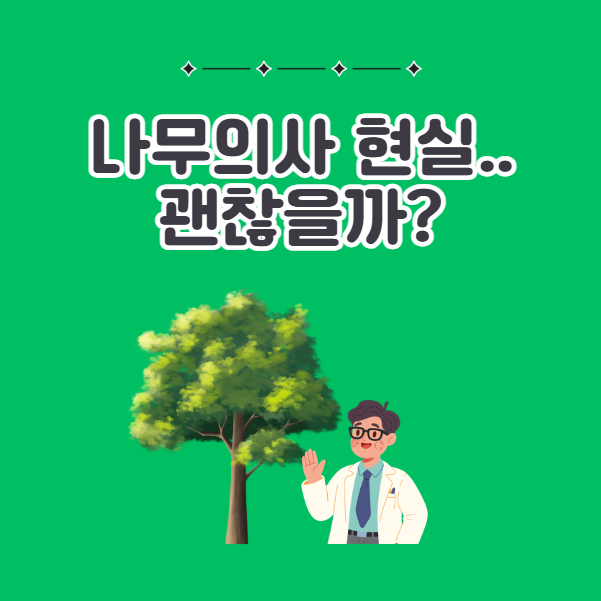 나무의사 현실적인 연봉과 취업 전망 요약