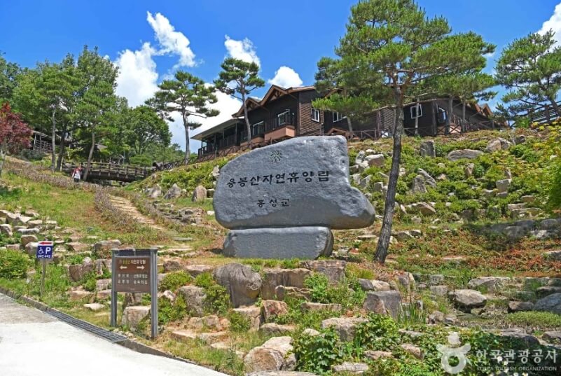 홍성 가볼만한곳 베스트 10