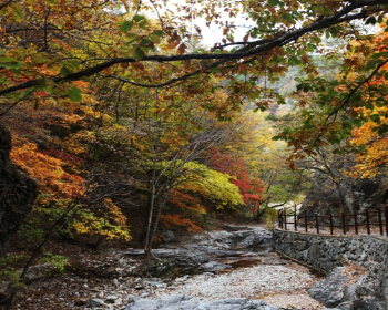 단풍 명소 주왕산_2