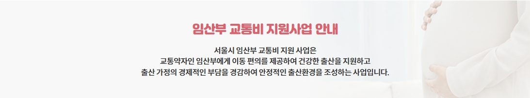 서울시 임산부 교통비 지원 최신 신청방법