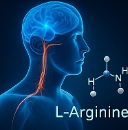 아르기닌 효능