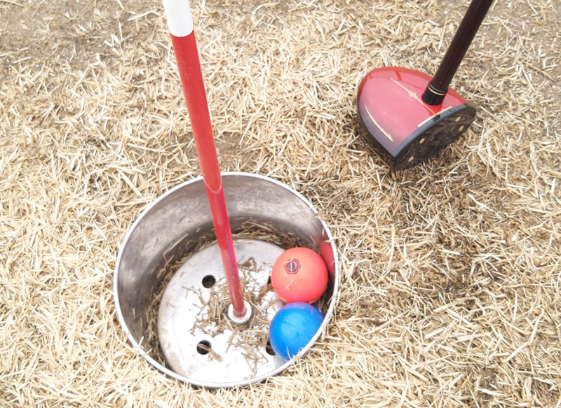 용인 포곡파크골프장 소개