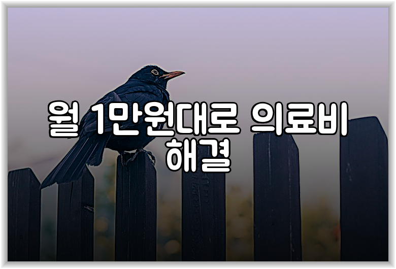 월 1만원대로 의료비 해결