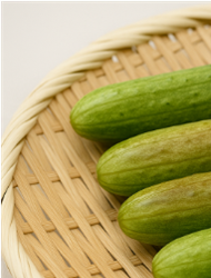 오이지 물없이담그는방법