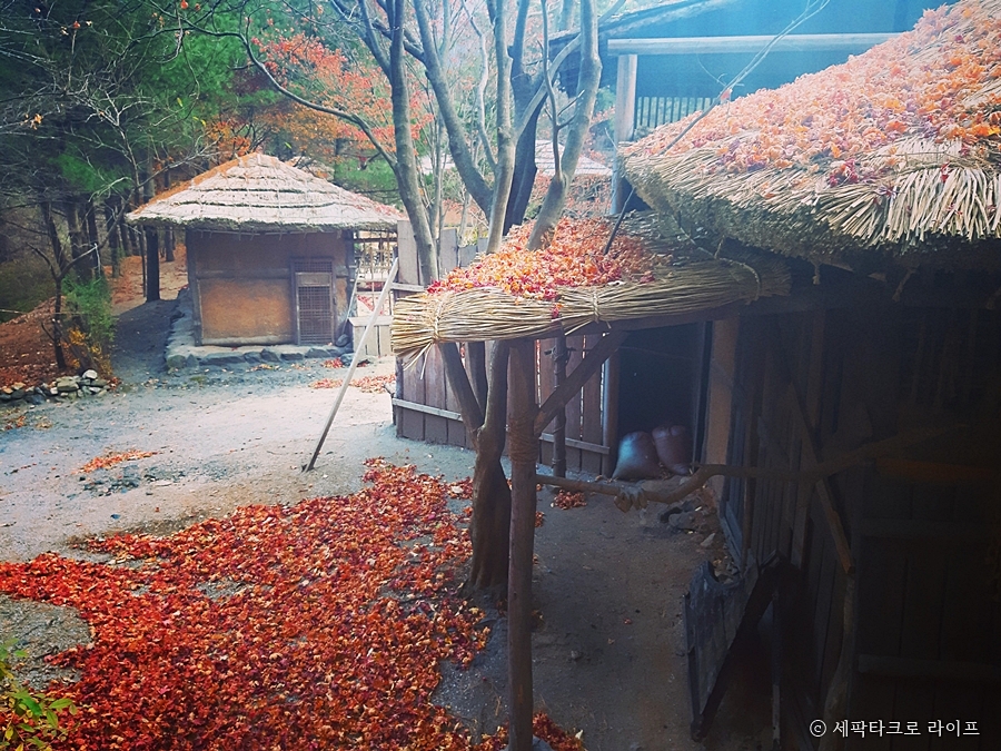 웰컴투동막골촬영지