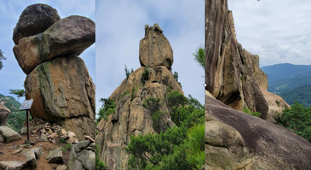 삼단,복주머니,악어바위