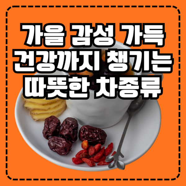 가을 건강차 종류