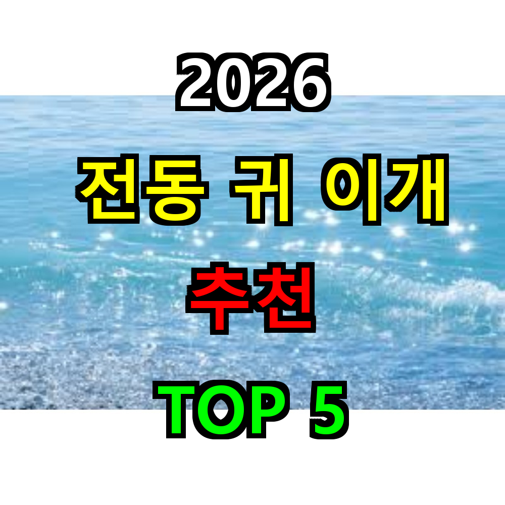 2026 전동 귀 이개 추천 TOP 5