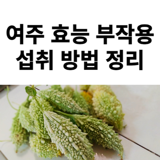 여주의 효능과 부작용, 섭취 방법