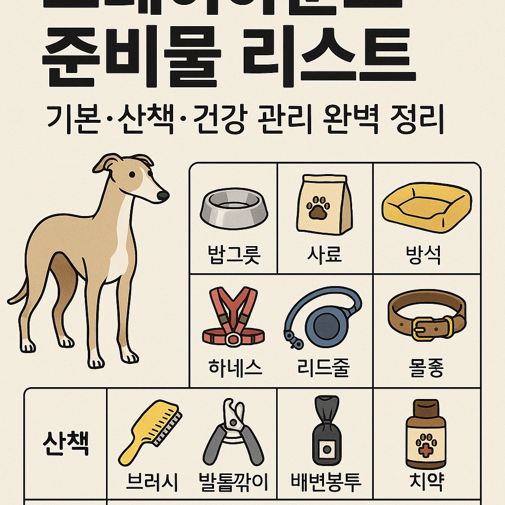 그레이하운드 준비물